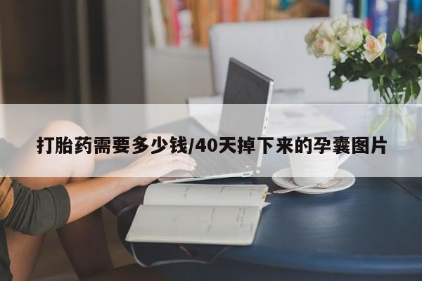 流产药叫什么名字微信怎么购买打胎药需要多少钱/40天掉下来的孕囊图片